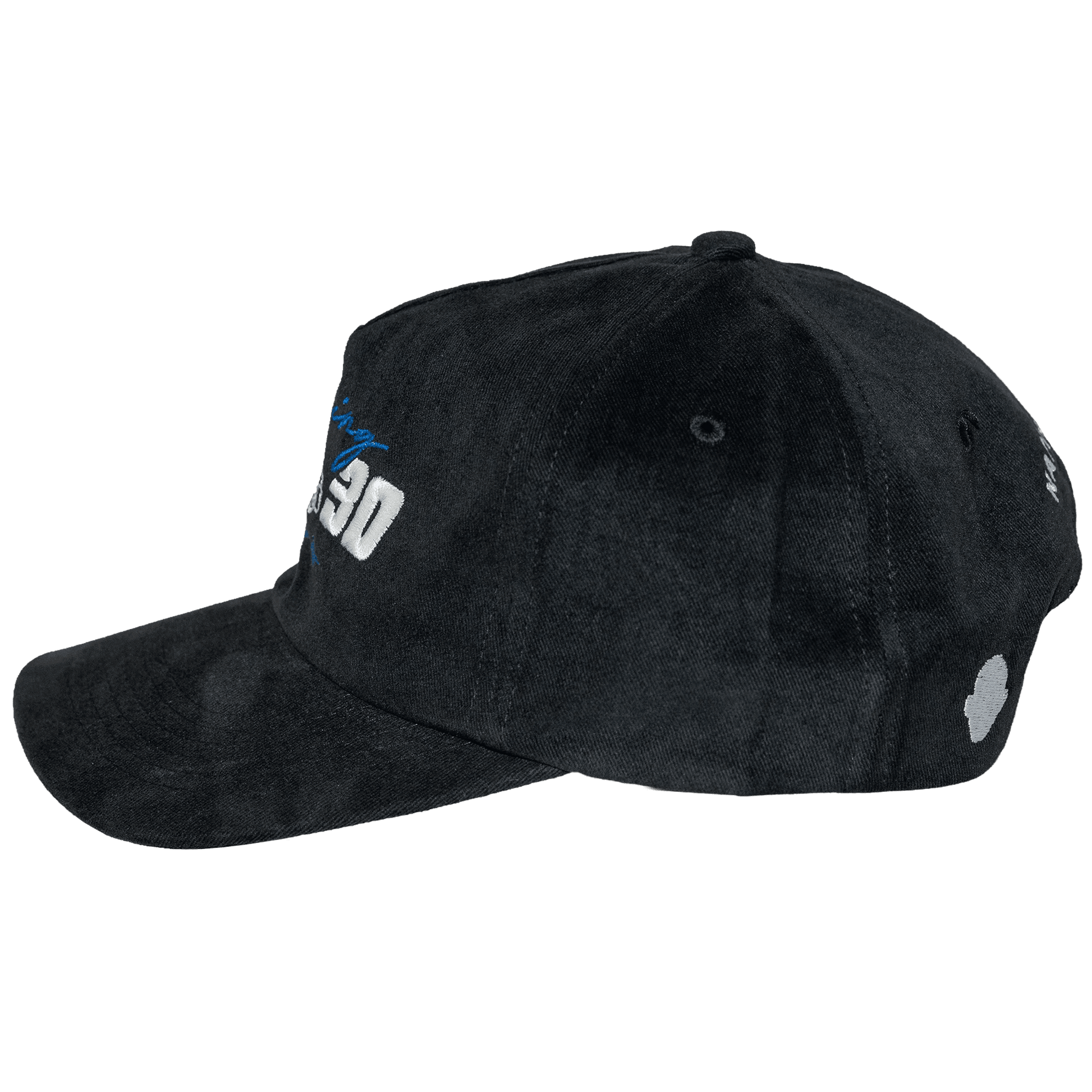 Black NatorCorp. Pushing 30 Hat - NatorCorp