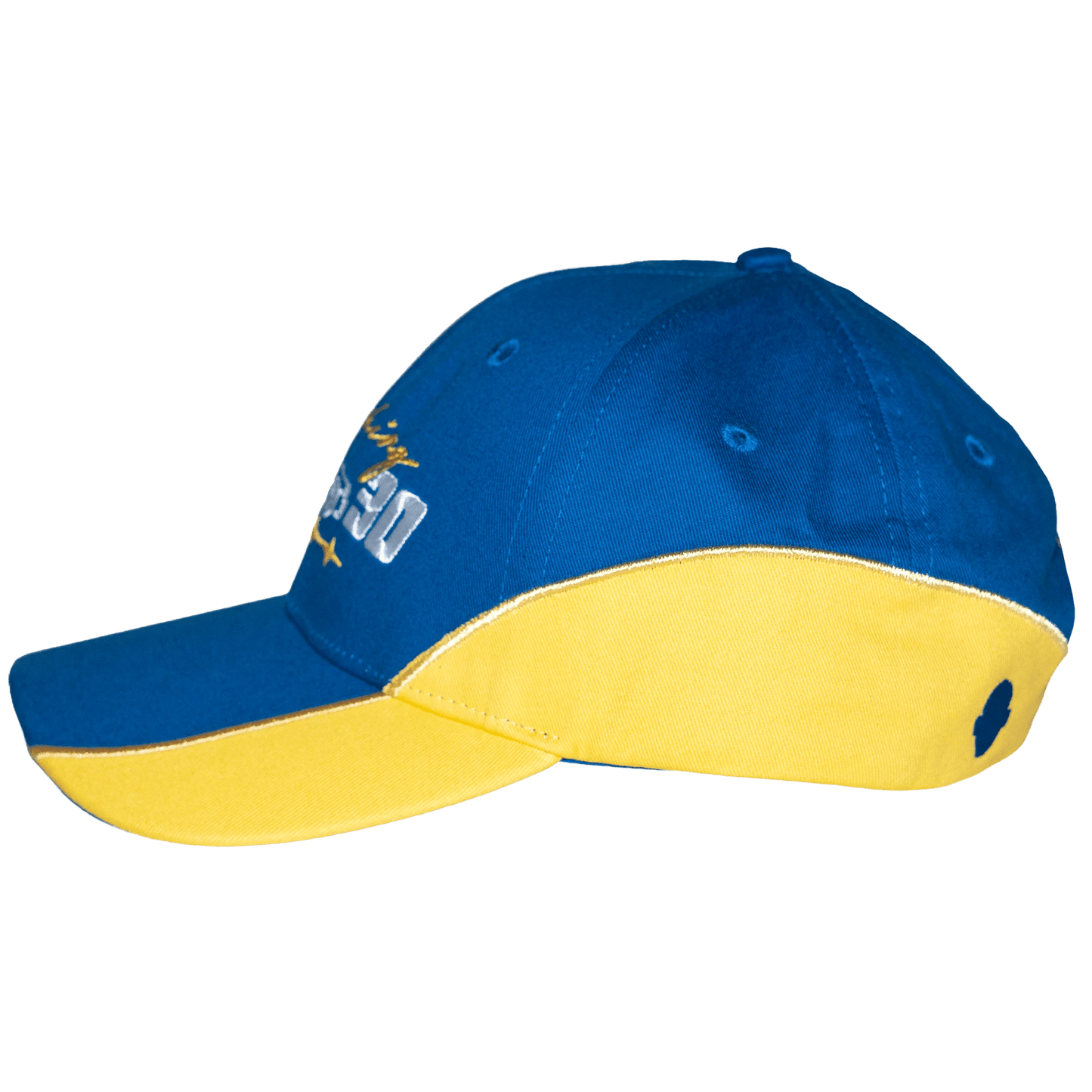 NatorCorp. Rally Pushing 30 Hat - NatorCorp